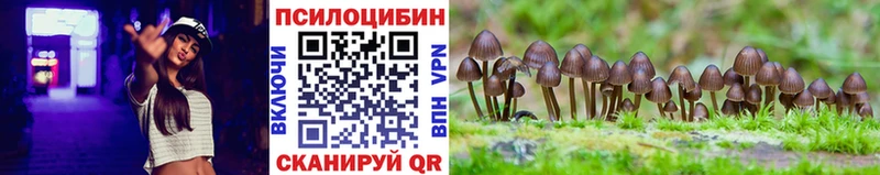 Галлюциногенные грибы мицелий  Купить где  Бодайбо 